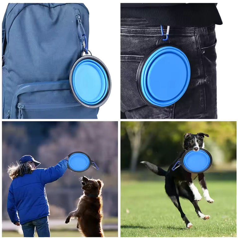 Collapsible Pet Silicone Bowl