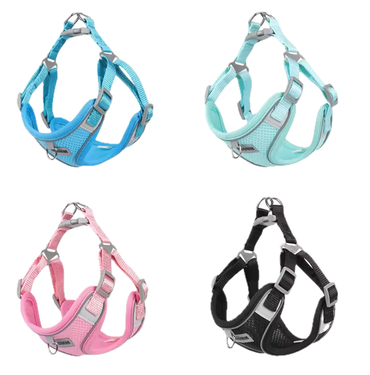 Harness Leash Set